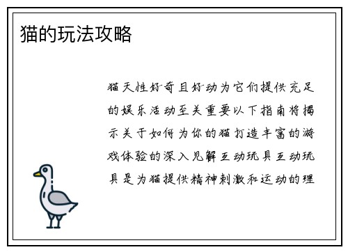 猫的玩法攻略