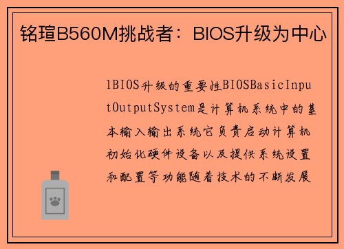 铭瑄B560M挑战者：BIOS升级为中心